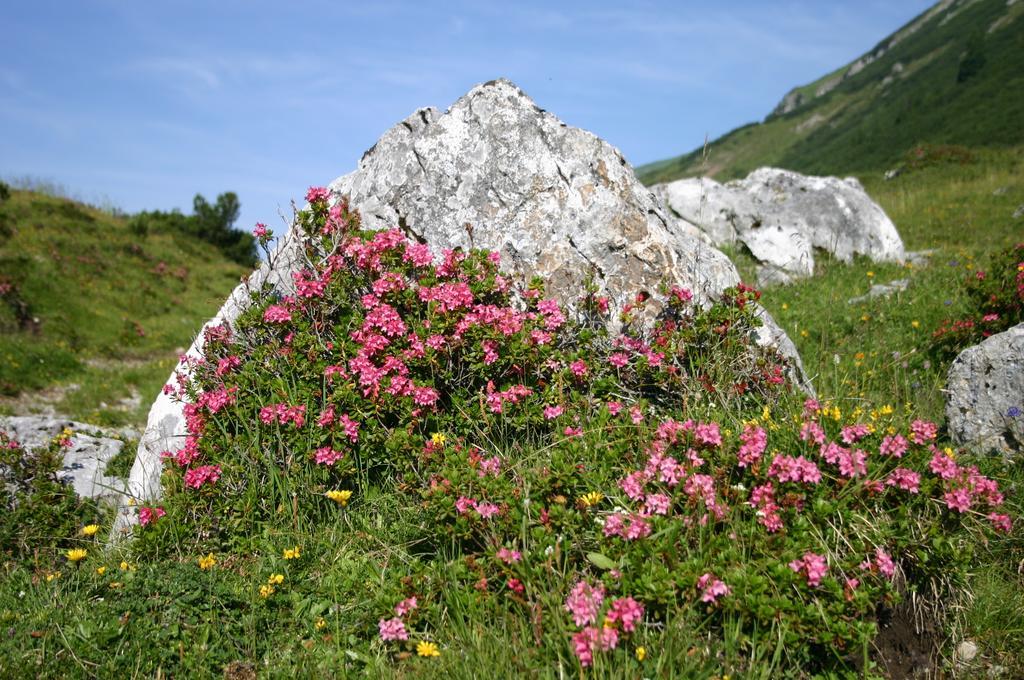 Gasthof "Zur Gemuetlichkeit" Bschlabs エクステリア 写真